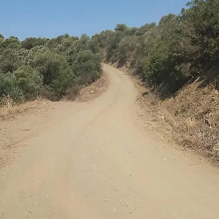 Olive Bay Hilltop בית נופש