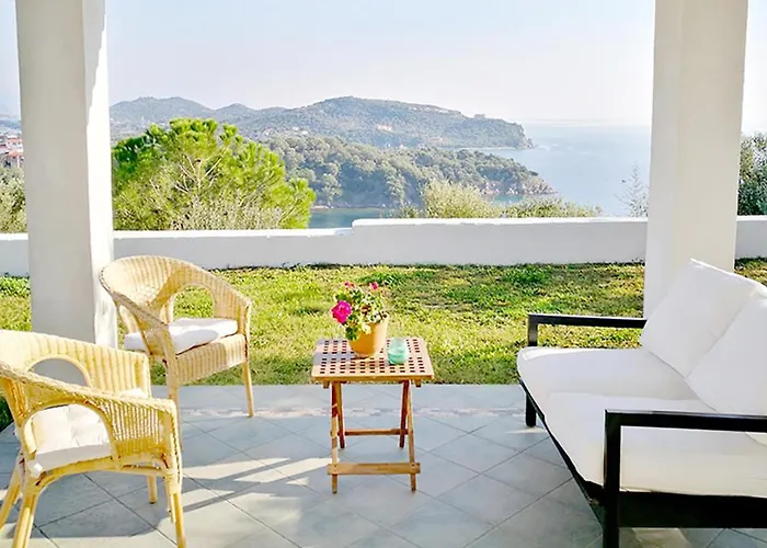 Olive Bay Hilltop *