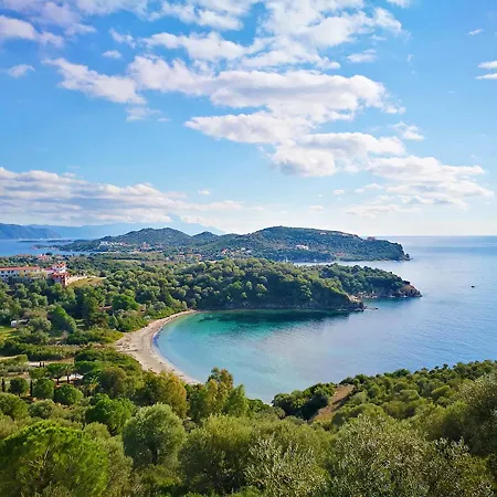 Olive Bay Hilltop *