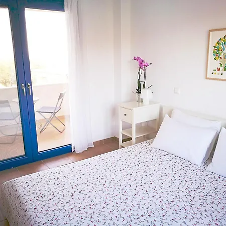 Olive Bay Hilltop * Amolianí