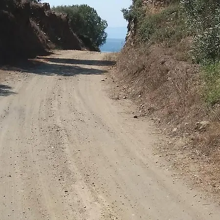 Olive Bay Hilltop