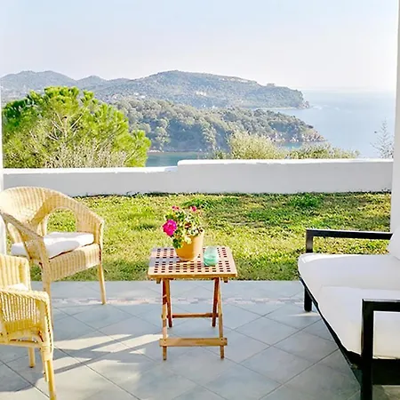 Olive Bay Hilltop *