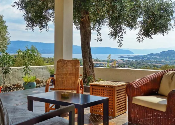 Olive Bay Hilltop