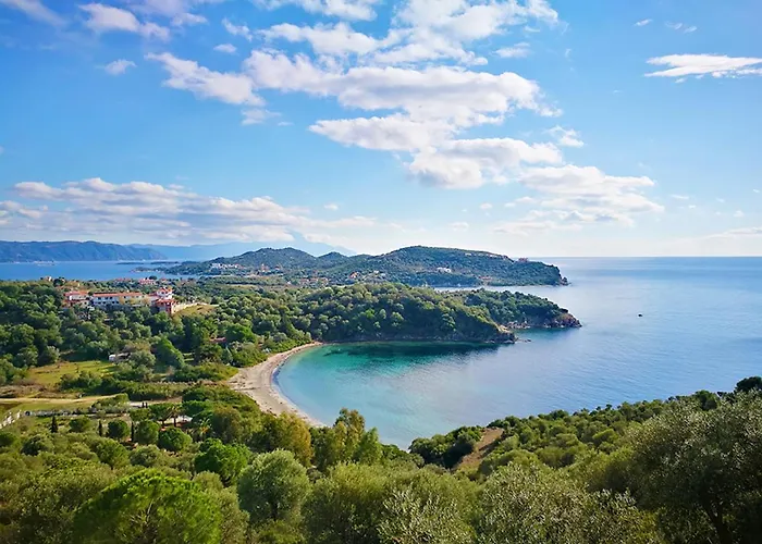 Olive Bay Hilltop *