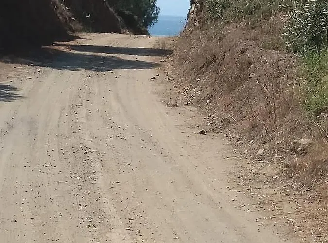 Olive Bay Hilltop